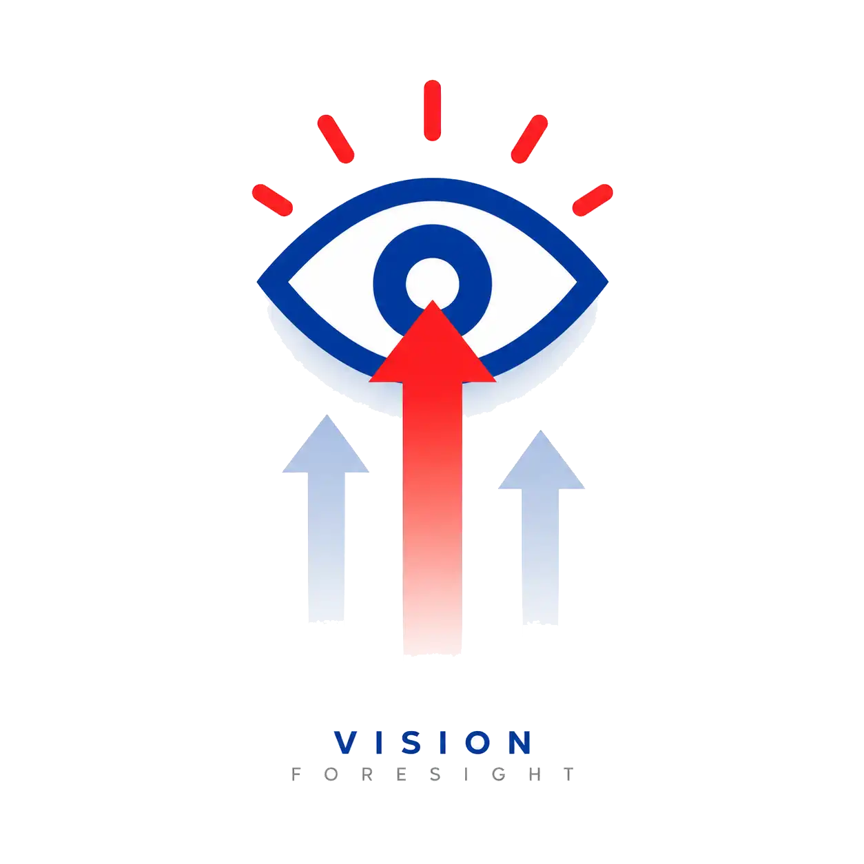 Our Vision